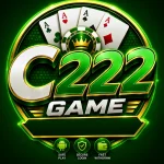 C222 Game